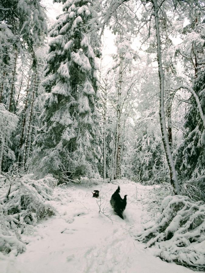 Stuga Glaskogen Glava Esterno foto